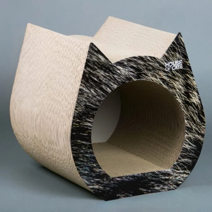 Kratzbaum Cat Hair