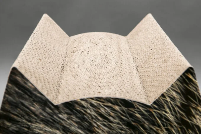 Kratzbaum Cat Hair