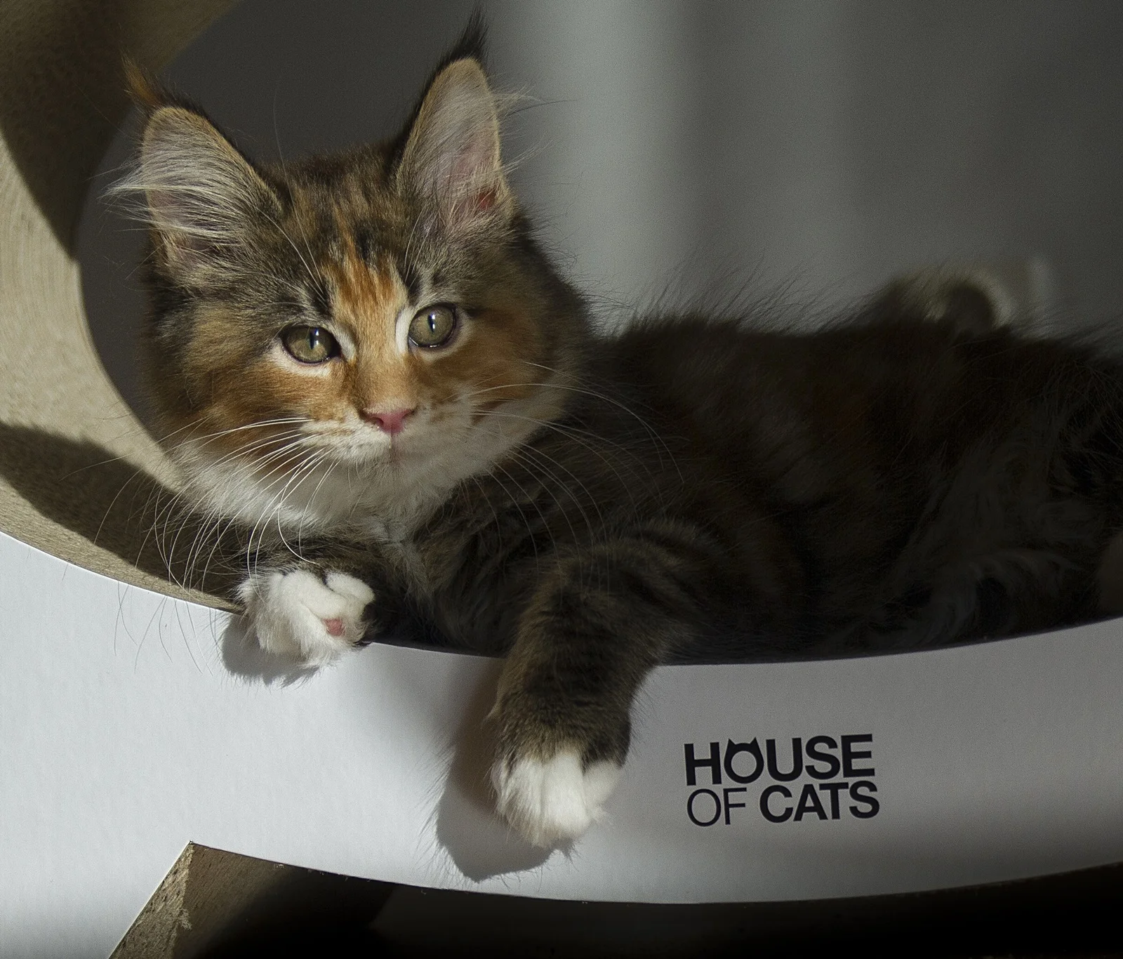 Elipso Black & White – Bild 4