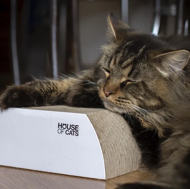 Drapak dla kota Flat White