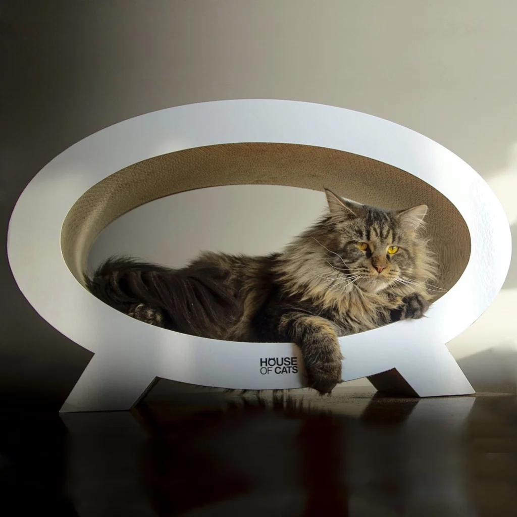 Elipso Black & White – Bild 2