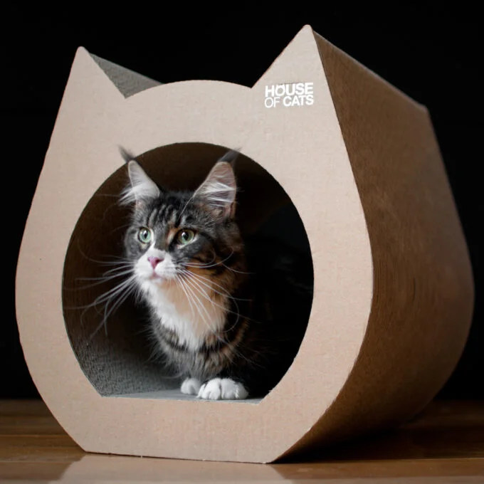 Scratching post Cat Eco
