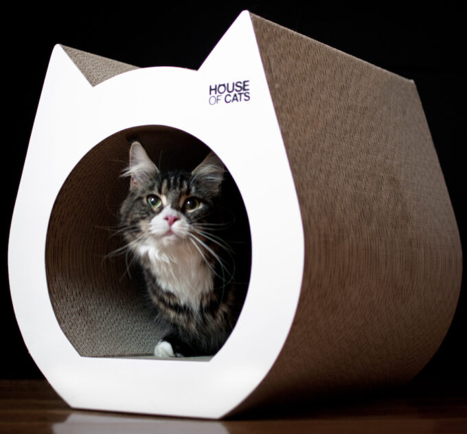 Scratching post Cat White
