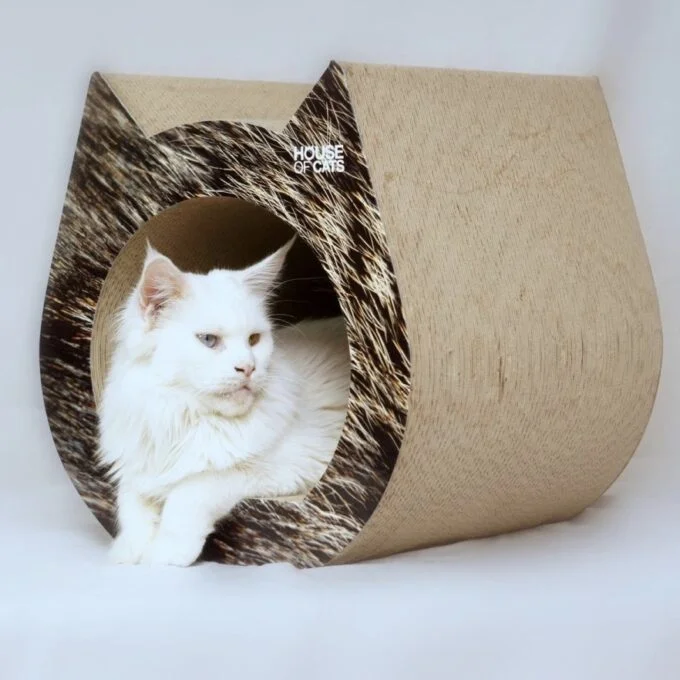 Kratzbaum Cat Hair
