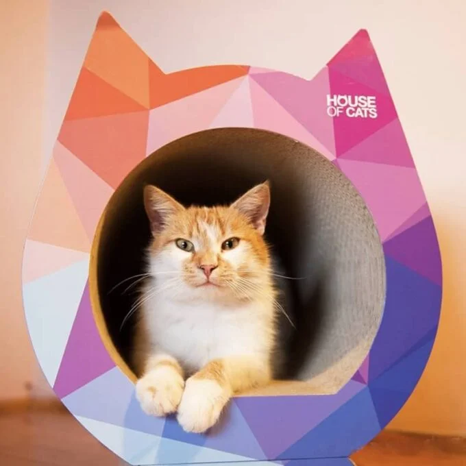 Kratzbaum Cat Triangle