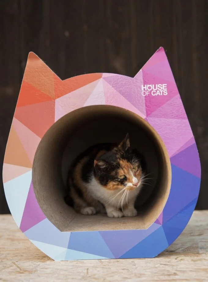 Kratzbaum Cat Triangle