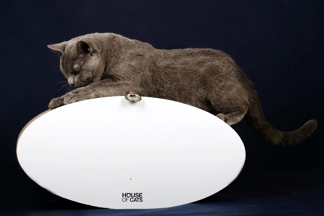 Drapak dla kota Roll - obrazek 3