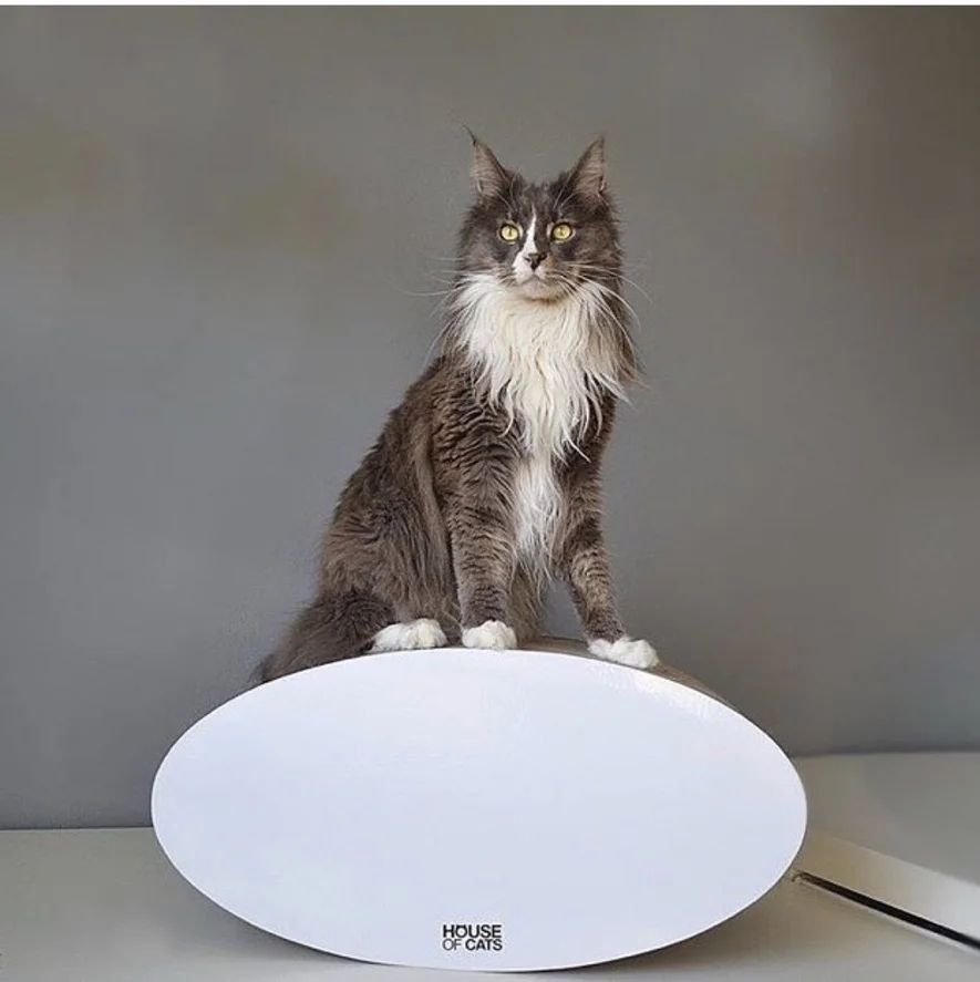 Drapak dla kota Roll - obrazek 2