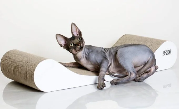Sofa White
