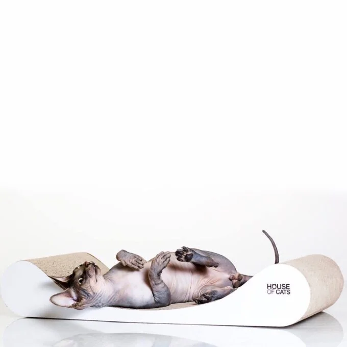 Sofa White
