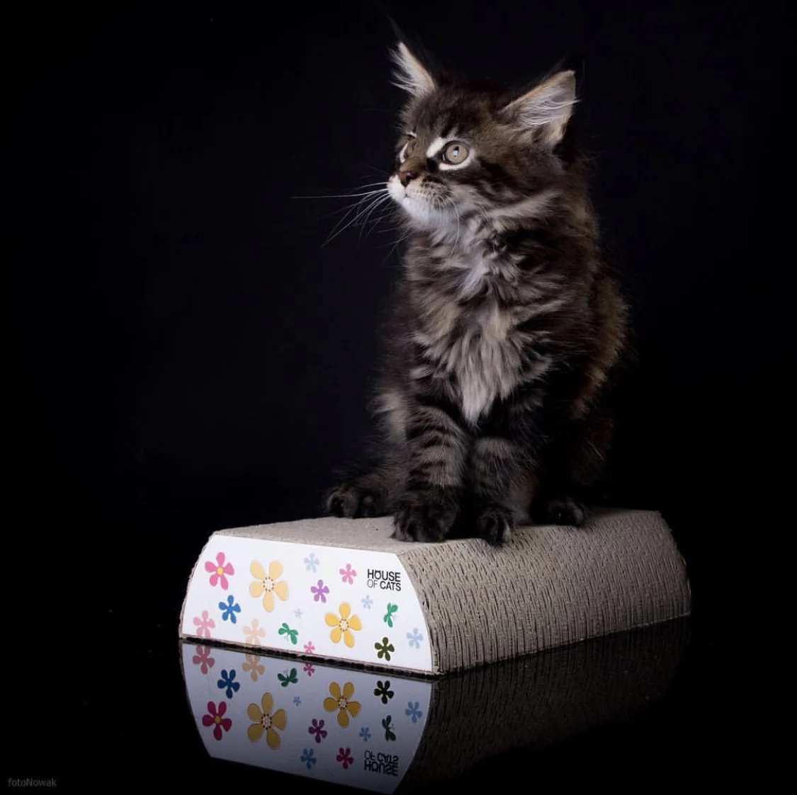 Small Flat Flowers – Bild 4