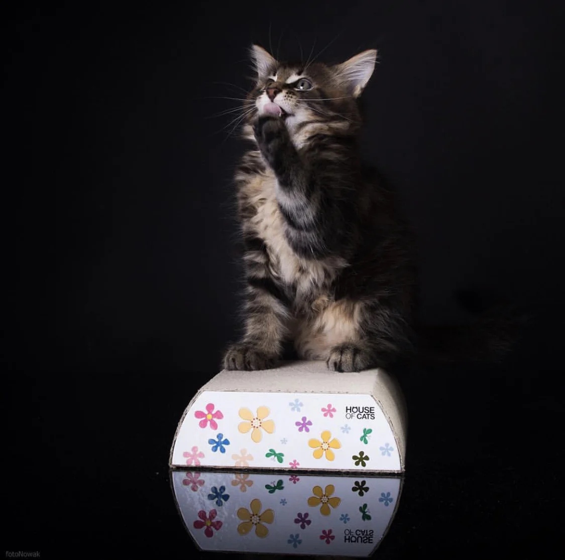 Small Flat Flowers – Bild 2