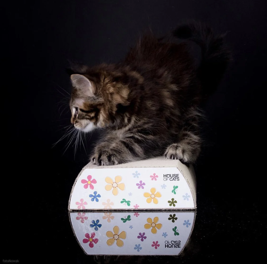 Small Flat Flowers – Bild 3