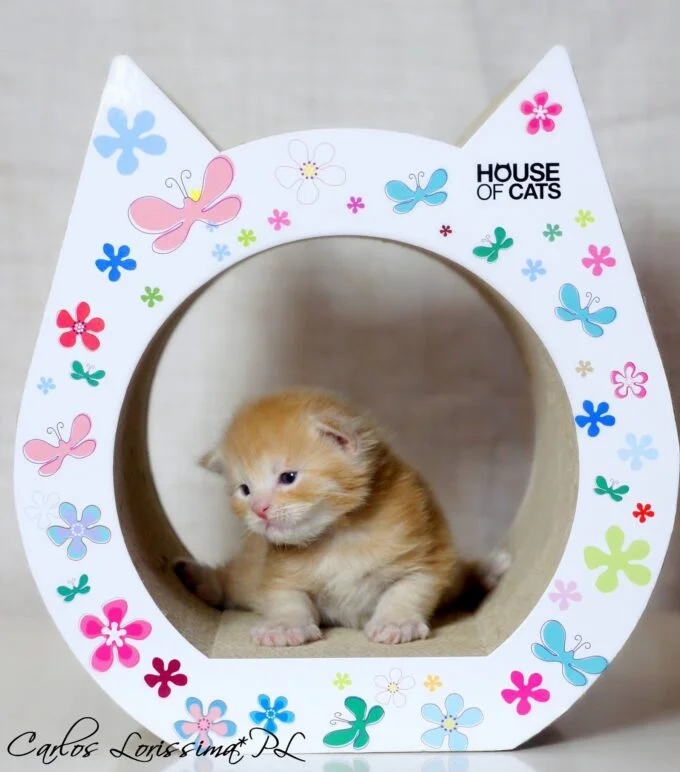 Scratching post Small Cat Flowers