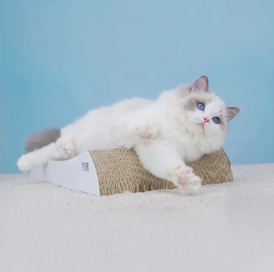 Drapak dla kota Welle - obrazek 2