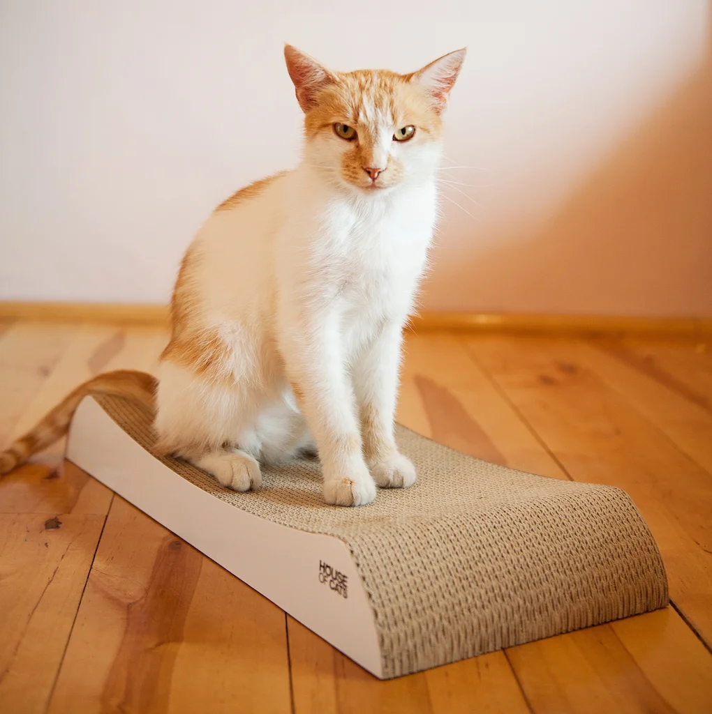 Drapak dla kota Welle - obrazek 4