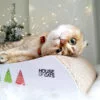Drapak dla kota Welle Christmas II