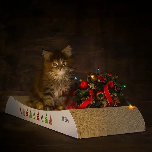 Drapak dla kota Welle Christmas II