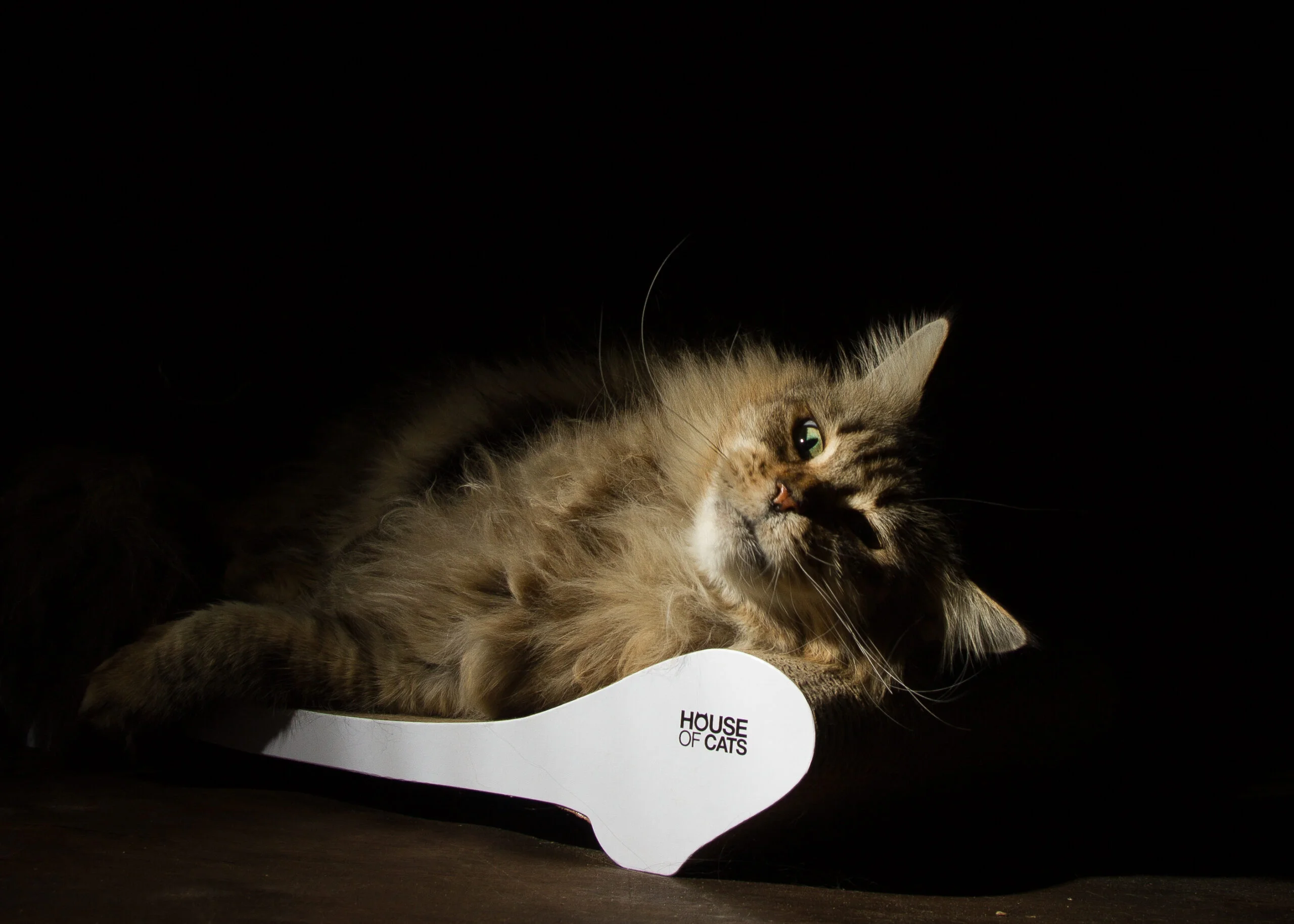 Comfy White - Image 3