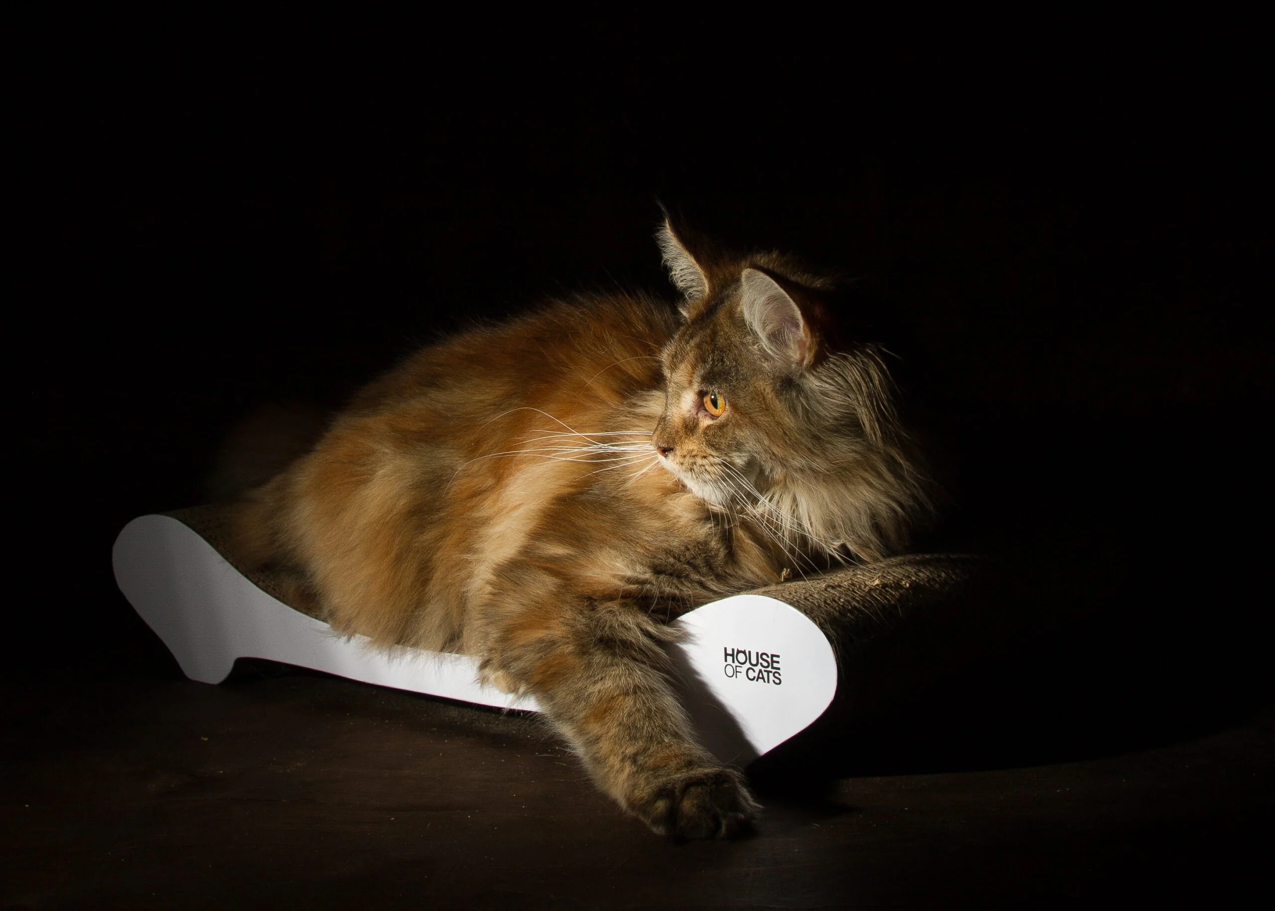 Comfy White - Image 5