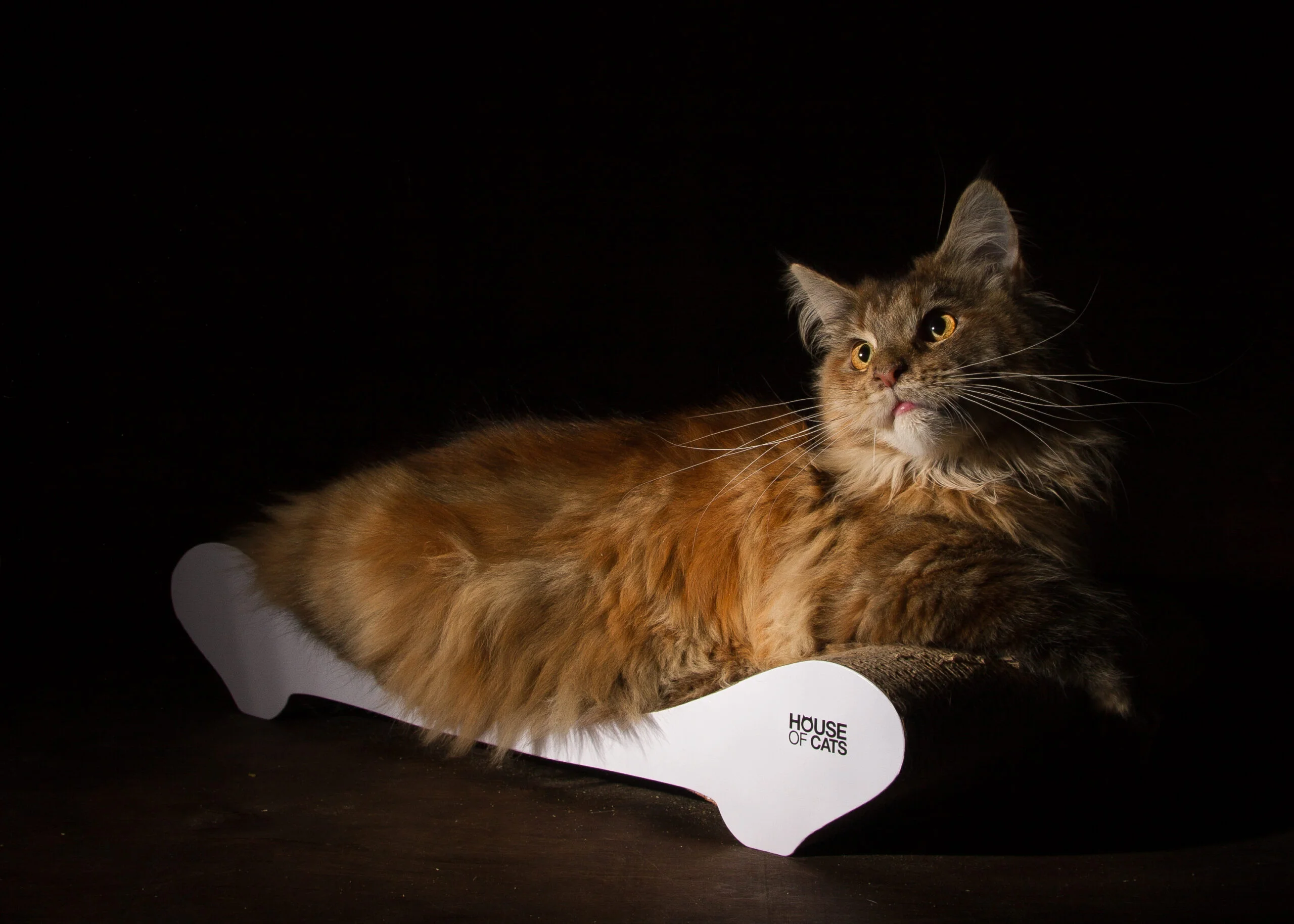 Comfy White - Image 4