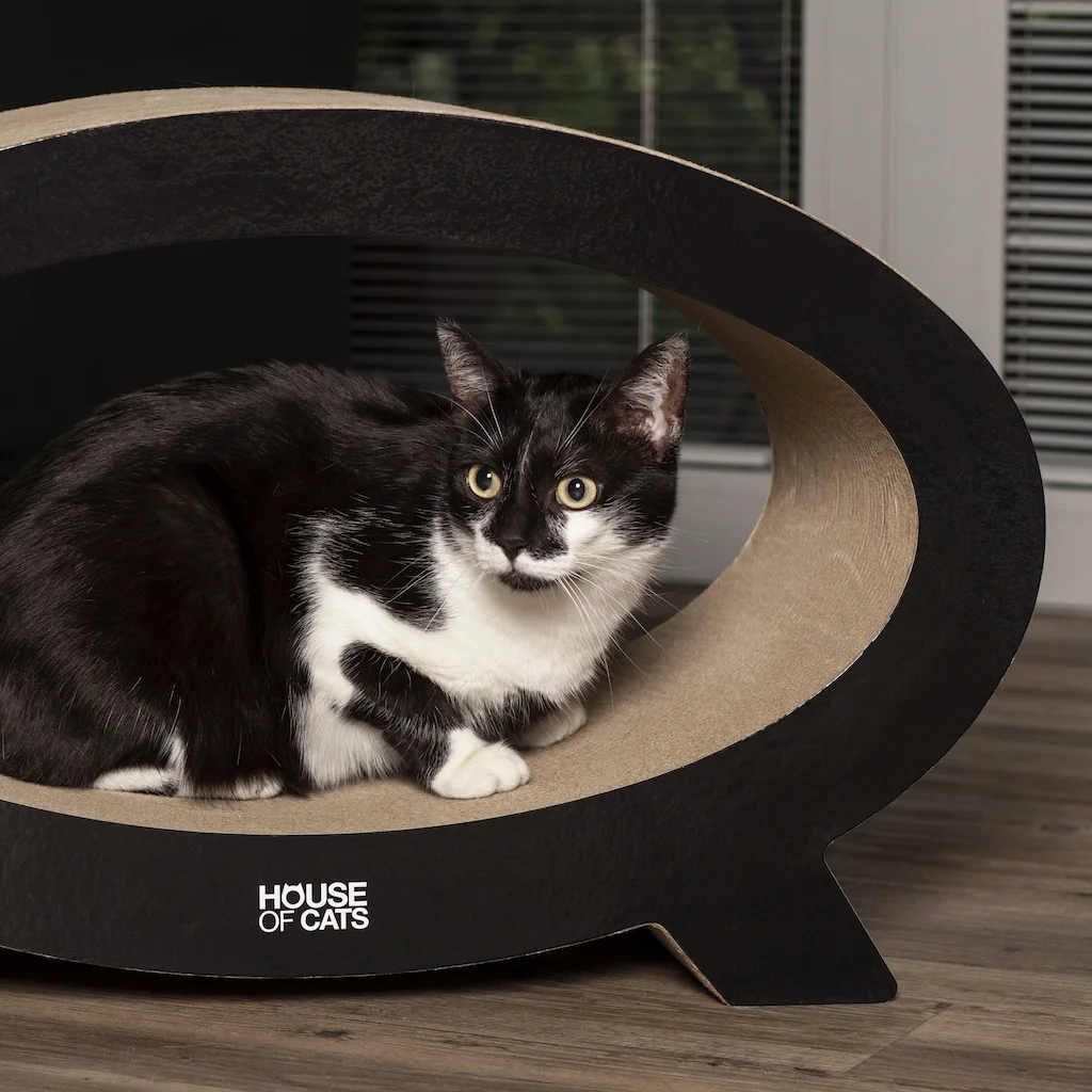 Elipso Black – Bild 4