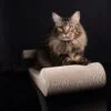 Sofa Eco