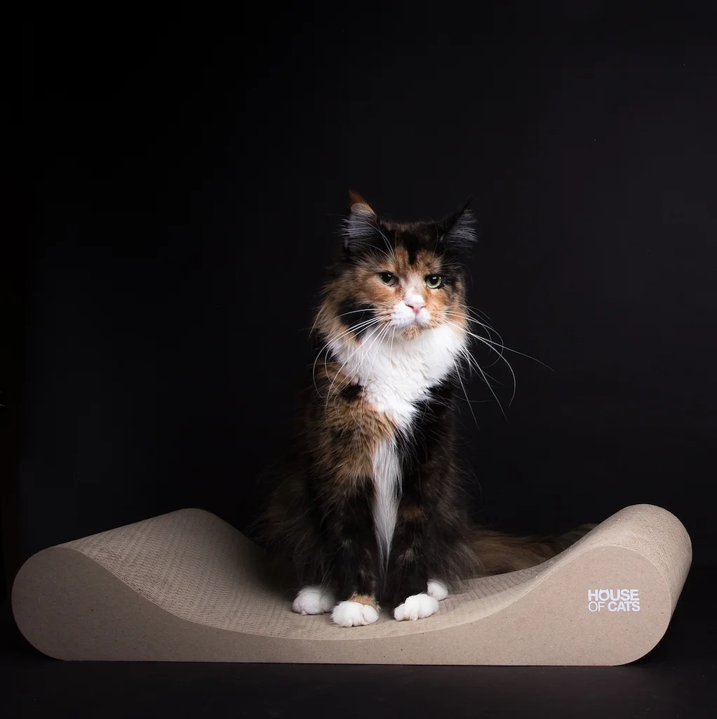 Drapak dla kota Sofa Eco