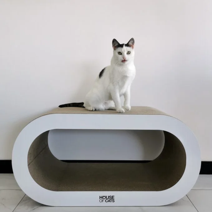 Bench White
