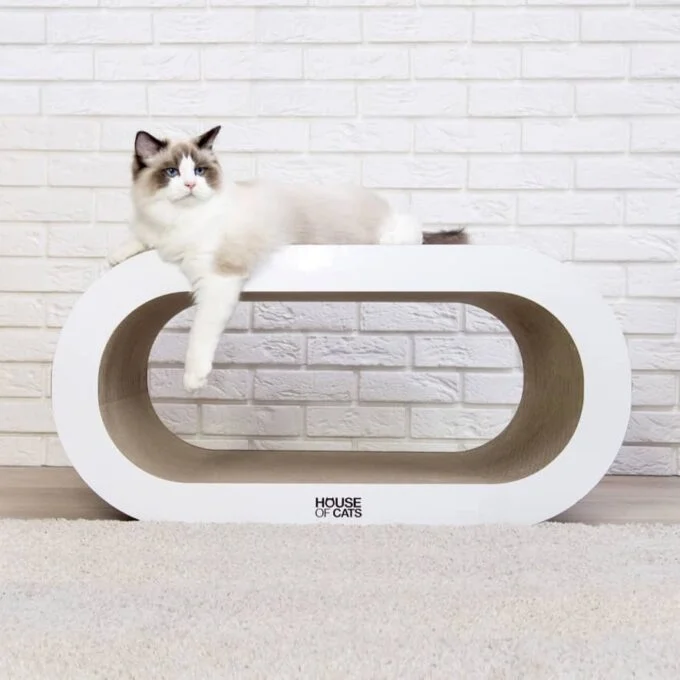 Bench White