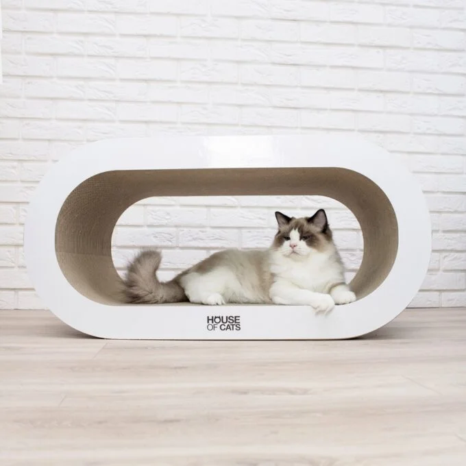 Bench White