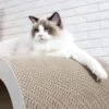 Bench White