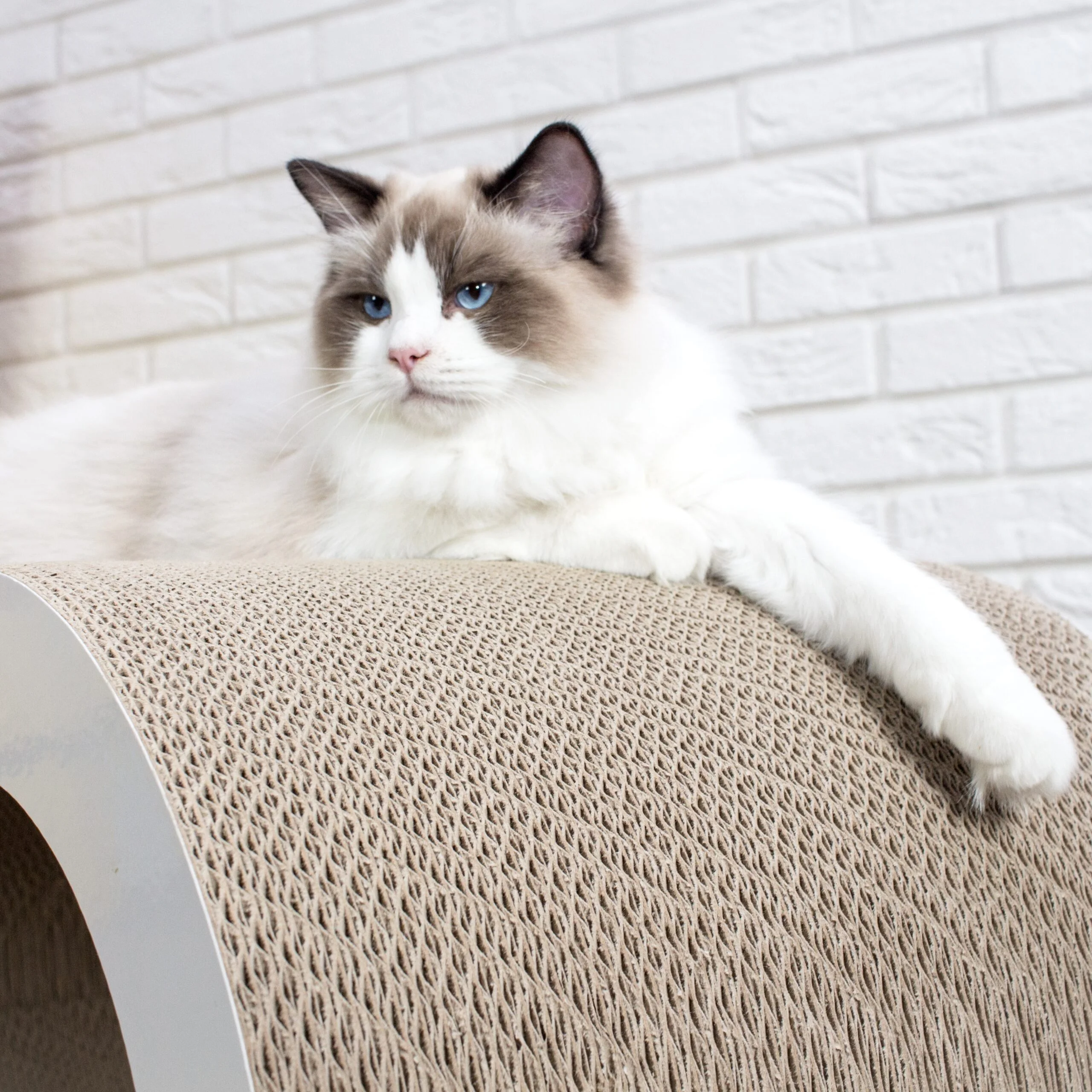 Bench White - Image 4