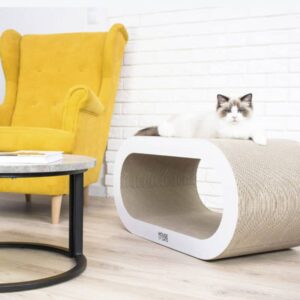 drapak_bench (1)
