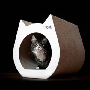 drapak_cat (1)