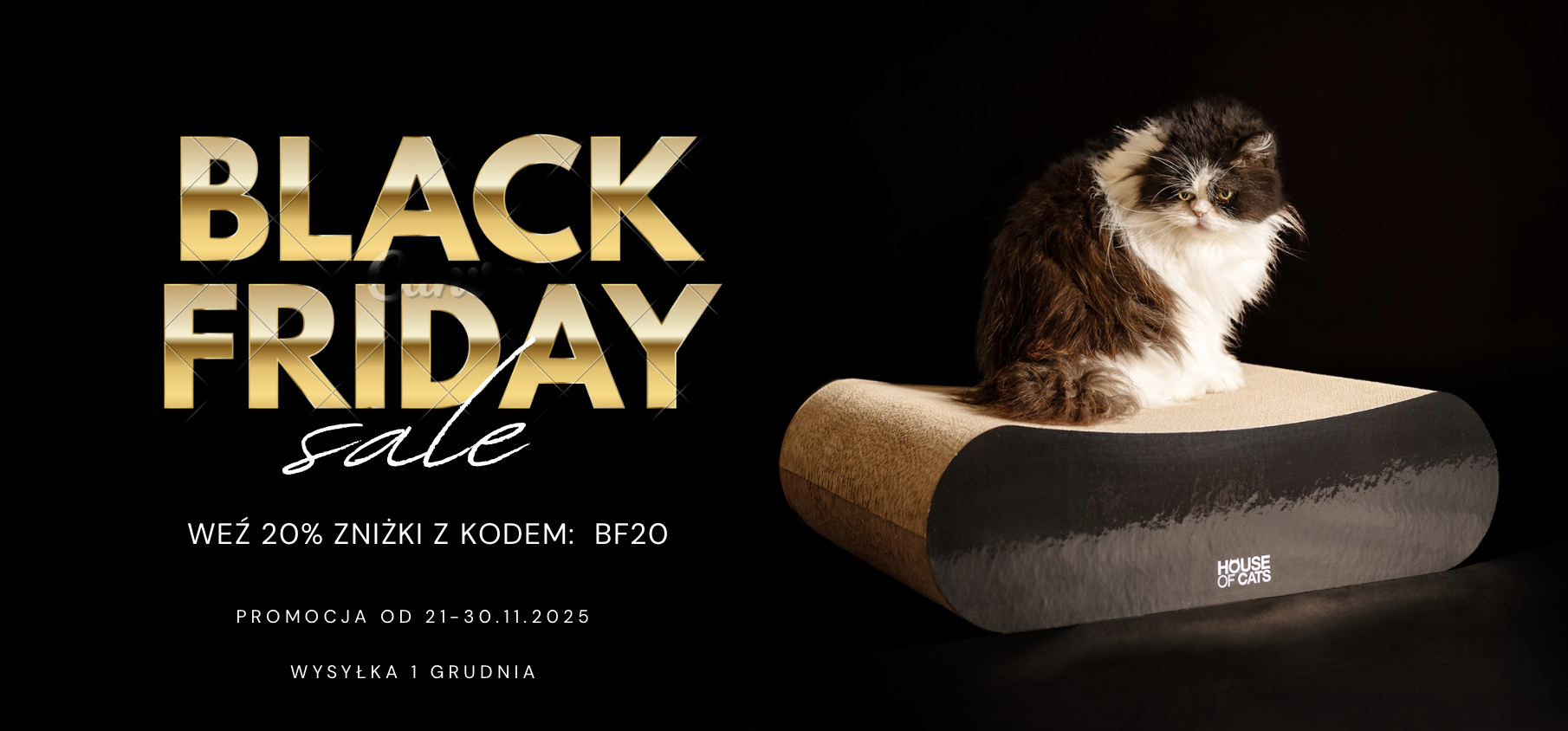 Zrzut ekranu 2025-11-17 o 09.12.46