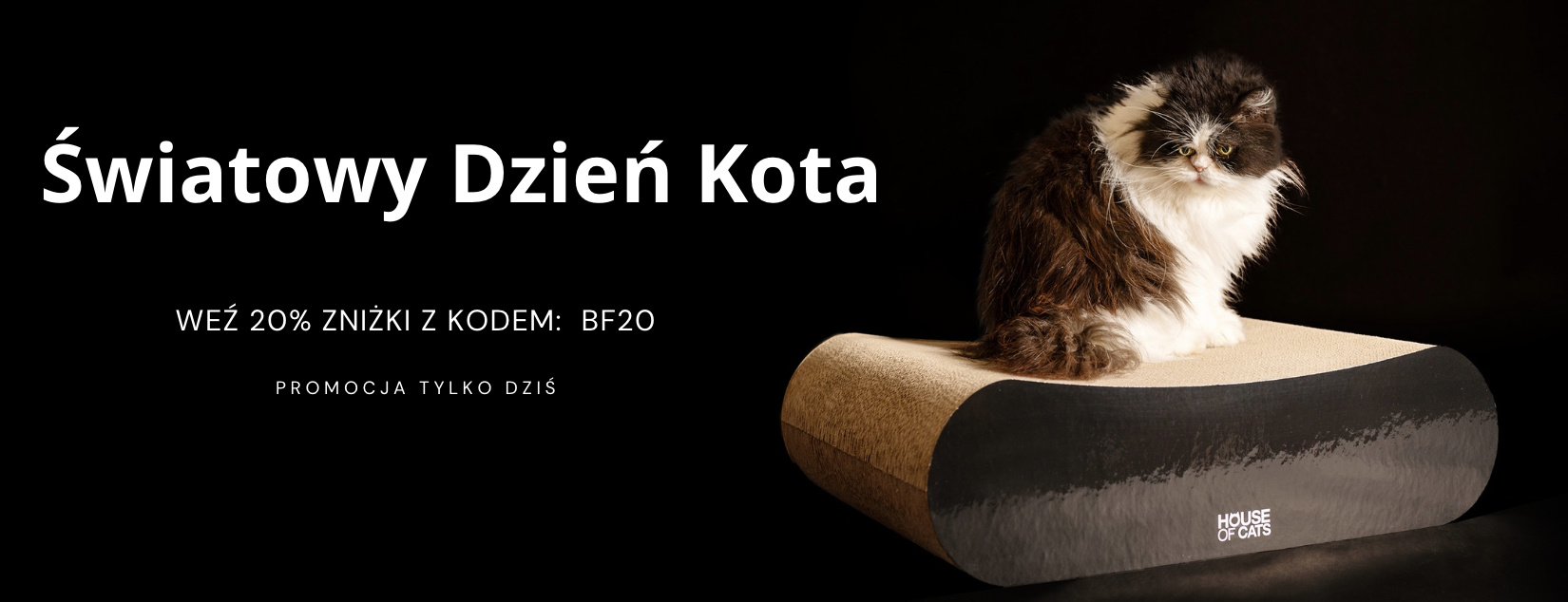 Zrzut ekranu 2026-02-17 o 08.51.19